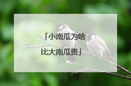小南瓜为啥比大南瓜贵