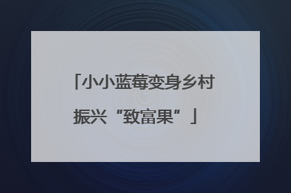 小小蓝莓变身乡村振兴“致富果”