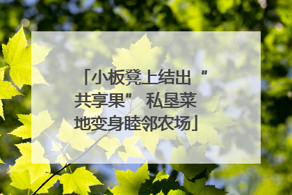 小板凳上结出“共享果” 私垦菜地变身睦邻农场