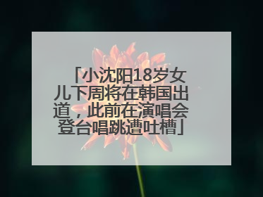 小沈阳18岁女儿下周将在韩国出道，此前在演唱会登台唱跳遭吐槽