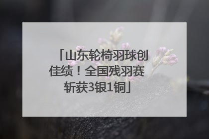 山东轮椅羽球创佳绩！全国残羽赛斩获3银1铜