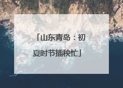 山东青岛：初夏时节插秧忙