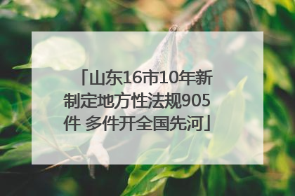 山东16市10年新制定地方性法规905件 多件开全国先河