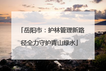 岳阳市：护林管理新路径全力守护青山绿水