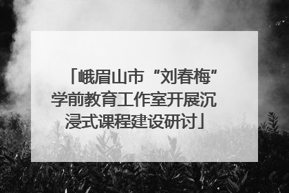 峨眉山市“刘春梅”学前教育工作室开展沉浸式课程建设研讨