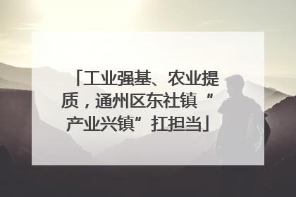 工业强基、农业提质，通州区东社镇“产业兴镇”扛担当