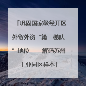 巩固国家级经开区外贸外资“第一梯队”地位——解码苏州工业园区样本