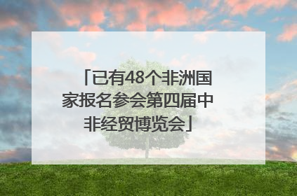 已有48个非洲国家报名参会第四届中非经贸博览会