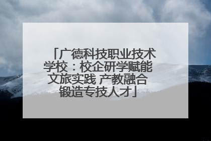 广德科技职业技术学校：校企研学赋能文旅实践 产教融合锻造专技人才