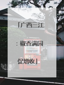广西三江：椒香满园促增收