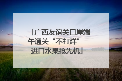 广西友谊关口岸端午通关“不打烊” 进口水果抢先机