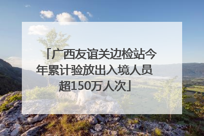 广西友谊关边检站今年累计验放出入境人员超150万人次
