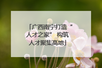 广西南宁打造“人才之家” 构筑人才聚集高地