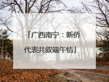 广西南宁：新侨代表共叙端午情