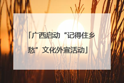 广西启动“记得住乡愁”文化外宣活动