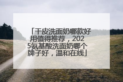 干皮洗面奶哪款好用值得推荐，2025氨基酸洗面奶哪个牌子好，温和在线