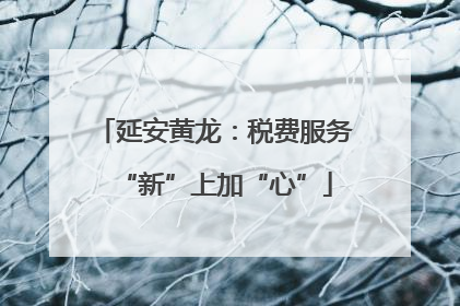 延安黄龙：税费服务“新”上加“心”