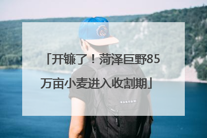 开镰了！菏泽巨野85万亩小麦进入收割期