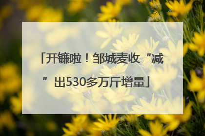 开镰啦！邹城麦收“减”出530多万斤增量