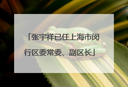 张宇祥已任上海市闵行区委常委、副区长