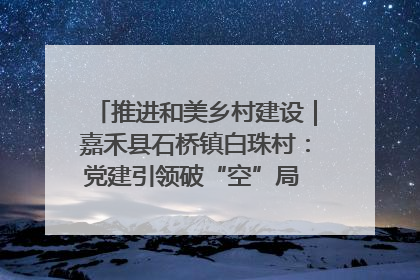 推进和美乡村建设｜嘉禾县石桥镇白珠村：党建引领破“空”局 乡贤聚力绘就新图景