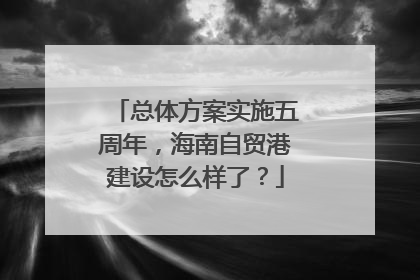 总体方案实施五周年，海南自贸港建设怎么样了？