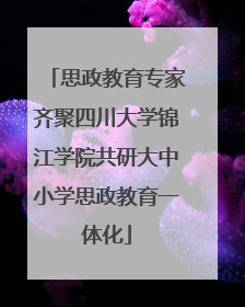 思政教育专家齐聚四川大学锦江学院共研大中小学思政教育一体化