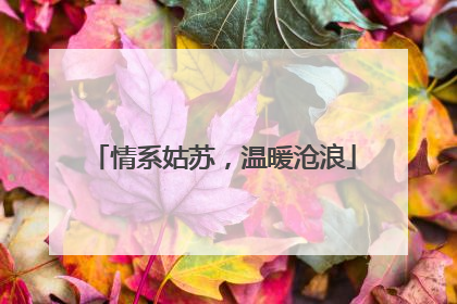 情系姑苏，温暖沧浪