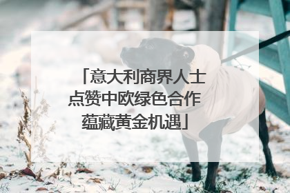 意大利商界人士点赞中欧绿色合作蕴藏黄金机遇