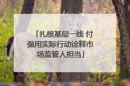 扎根基层一线 付强用实际行动诠释市场监管人担当