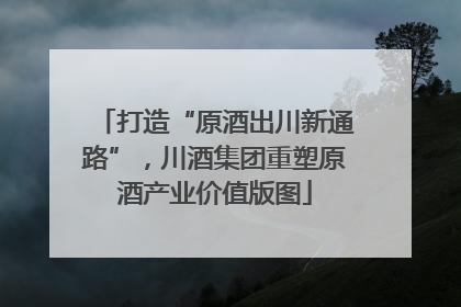 打造“原酒出川新通路”，川酒集团重塑原酒产业价值版图