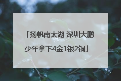 扬帆南太湖 深圳大鹏少年拿下4金1银2铜
