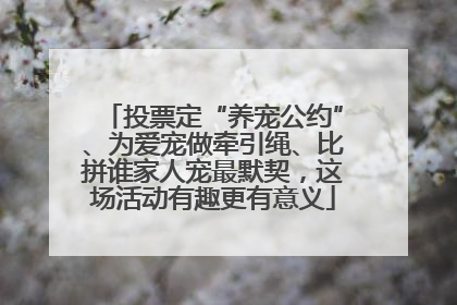 投票定“养宠公约”、为爱宠做牵引绳、比拼谁家人宠最默契，这场活动有趣更有意义