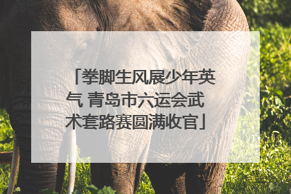 拳脚生风展少年英气 青岛市六运会武术套路赛圆满收官
