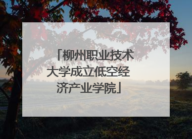 柳州职业技术大学成立低空经济产业学院