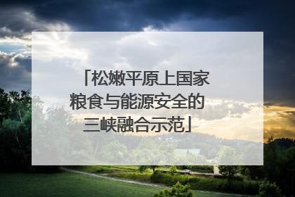 松嫩平原上国家粮食与能源安全的三峡融合示范