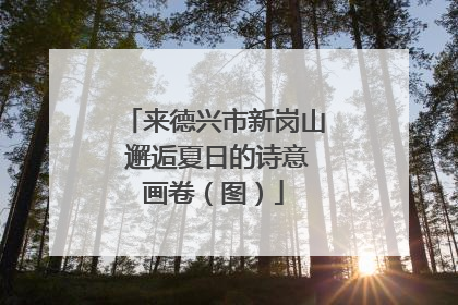 来德兴市新岗山 邂逅夏日的诗意画卷（图）