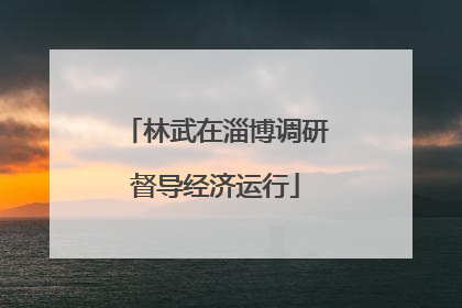 林武在淄博调研督导经济运行