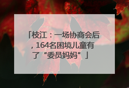 枝江：一场协商会后，164名困境儿童有了“委员妈妈”