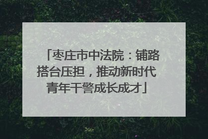 枣庄市中法院：铺路搭台压担，推动新时代青年干警成长成才