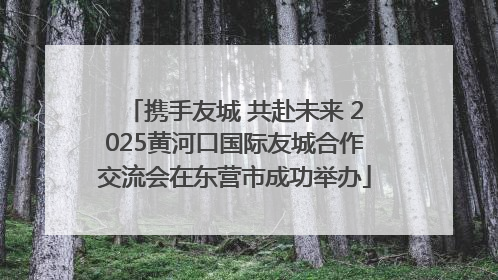 携手友城 共赴未来 2025黄河口国际友城合作交流会在东营市成功举办