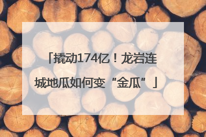 撬动174亿！龙岩连城地瓜如何变“金瓜”