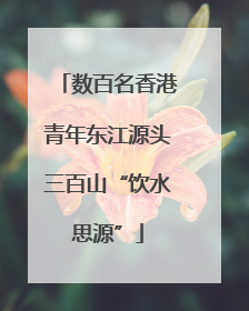 数百名香港青年东江源头三百山“饮水思源”