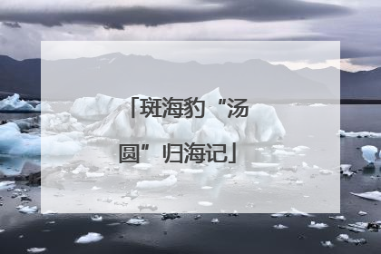 斑海豹“汤圆”归海记