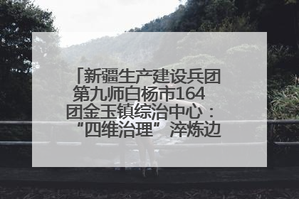 新疆生产建设兵团第九师白杨市164团金玉镇综治中心：“四维治理”淬炼边疆“枫桥样本”