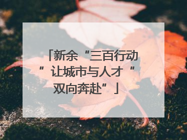 新余“三百行动”让城市与人才“双向奔赴”