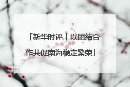 新华时评丨以团结合作共促南海稳定繁荣