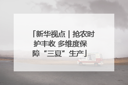 新华视点｜抢农时 护丰收 多维度保障“三夏”生产