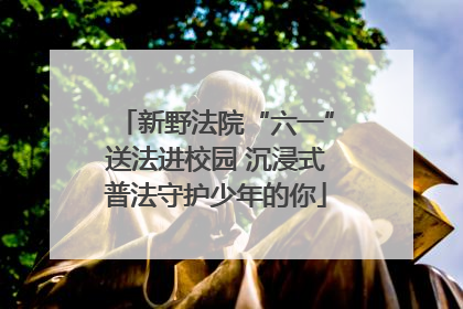 新野法院“六一”送法进校园 沉浸式普法守护少年的你