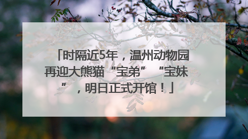 时隔近5年，温州动物园再迎大熊猫“宝弟”“宝妹”，明日正式开馆！